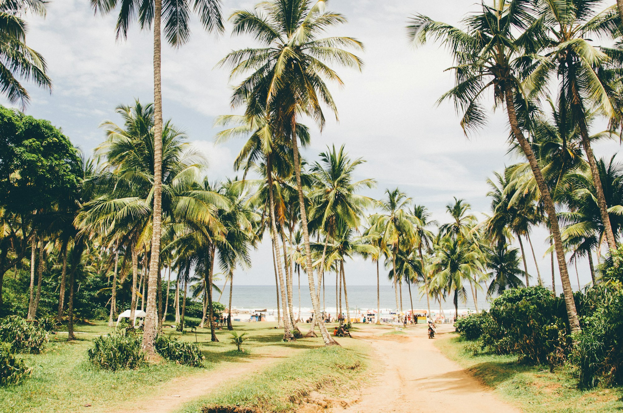 A sand track running through a coconut grove down to the sea in Itacaré.