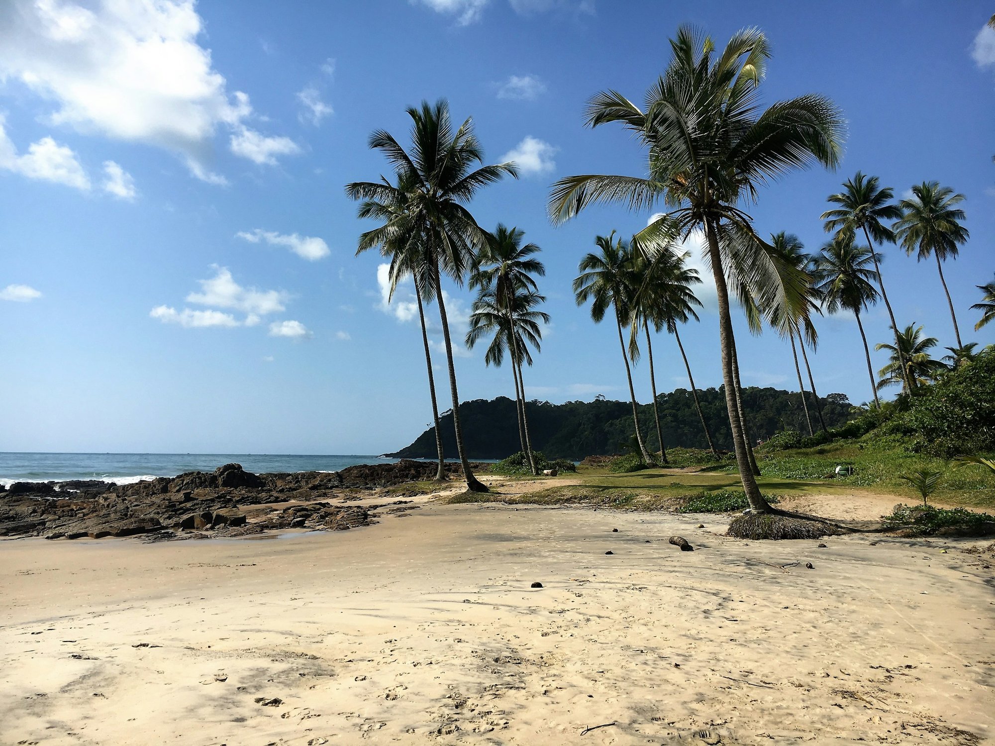 Coconut palms along a sandy beach in Itacaré, with dark rock at the water's edge and a forested headland behind.