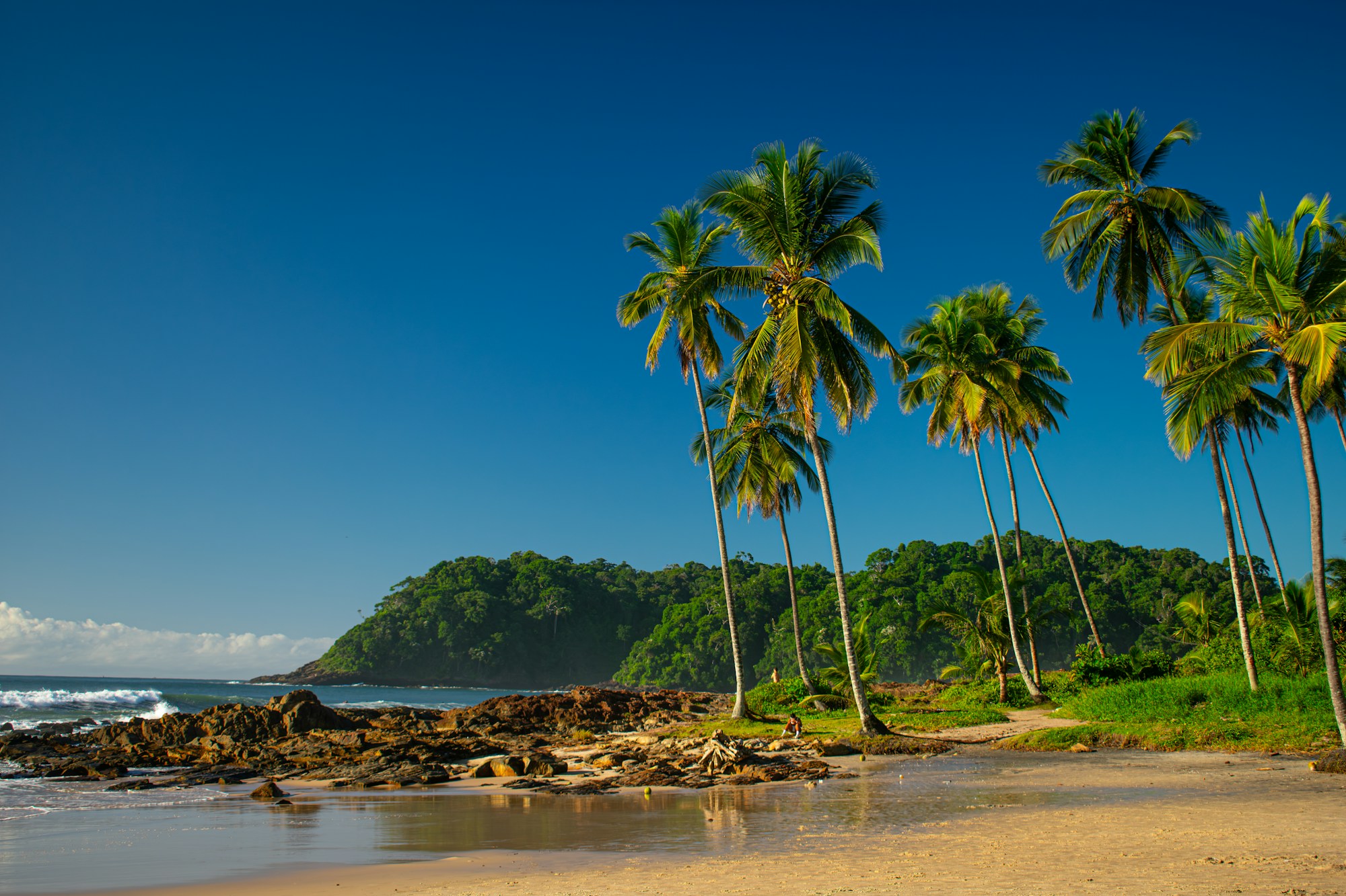 A sandy beach in Itacaré backed by palms, with a forested hill rising behind it.