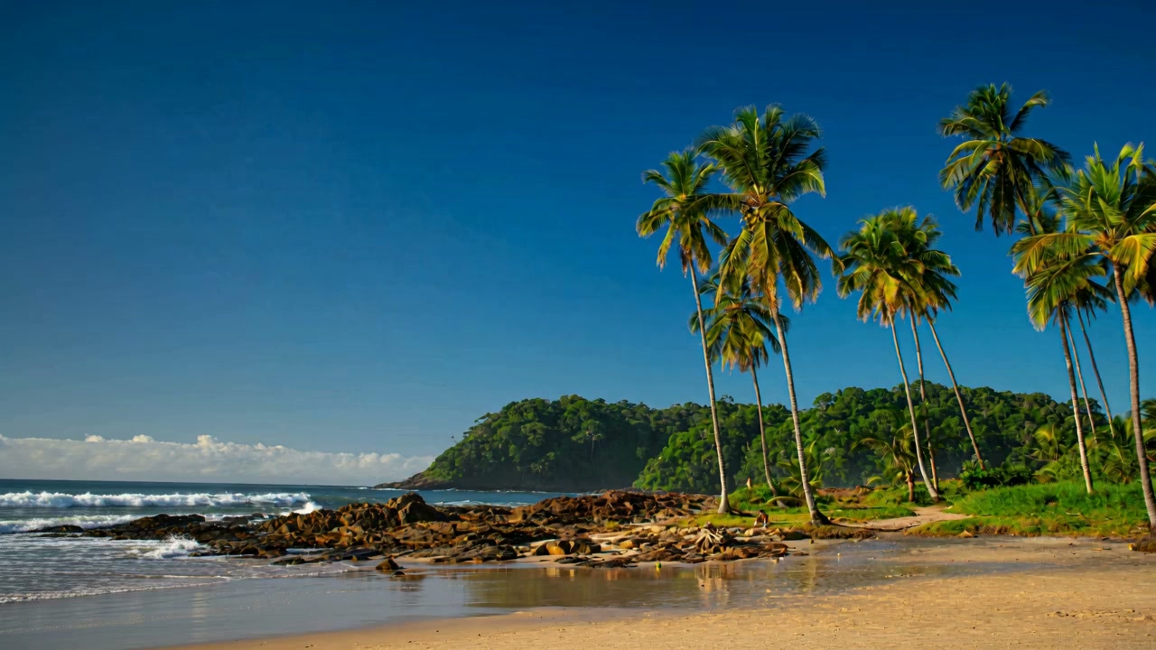 A sandy beach in Itacaré backed by palms, with a forested hill rising behind it.